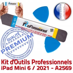 PRO iLAME Outils Ecran Compatible A2569 Tactile Qualité Réparation iSesamo KIT Remplacement iPad Professionnelle Démontage iPadMini Vitre 6