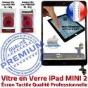 iPad Mini2 A1489 A1490 A1491 N Verre Nappe MINI Bouton Home Réparation Filtre Monté Oléophobe Ecran 2 Caméra Adhésif Tactile Vitre Noir Tablette Fixation