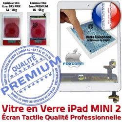 Nappe Bouton Ecran Blanc A1489 Home MINI Réparation Mini2 iPad Fixation Monté Caméra Tactile Vitre Verre A1490 Tablette 2 Oléophobe A1491 Filtre B Adhésif