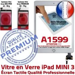 iPad Blanc Verre A1599 Tablette Réparation Nappe Caméra Fixation Adhésif Bouton Monté Vitre Ecran Oléophobe Home Tactile Mini3 Filtre